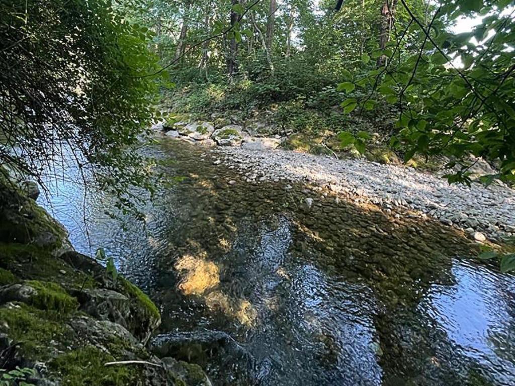 Appartamento Haus Am Bach Erl Esterno foto